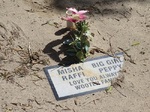 windswept grave, Pet Cemetery Desert Hot Springs 3-14.JPG